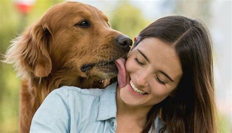 mujeres follando con perros|El mejor sexo de jovencitas con perros